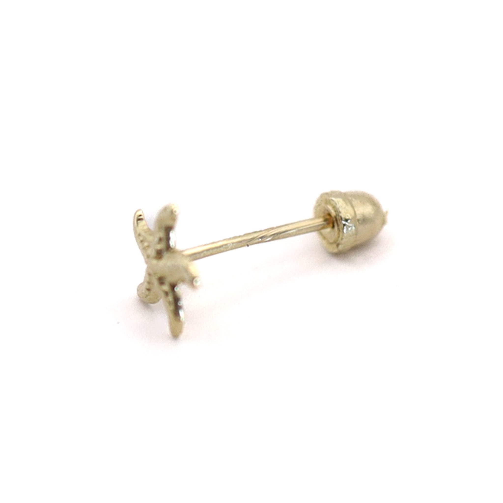 Estrellita De Mar - Imagen 2